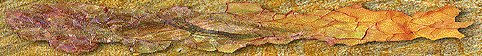 WB00520_.gif (18208 octets)